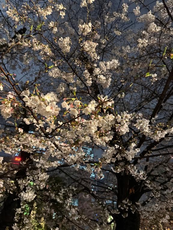 お久しぶりです😖